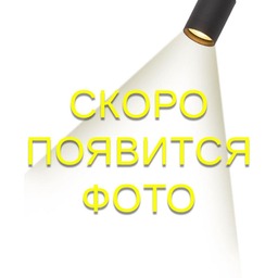 Подвесная люстра LOFT IT 10450/500
